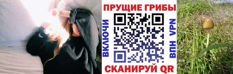 Галлюциногенные грибы GOLDEN TEACHER  Старая Русса 